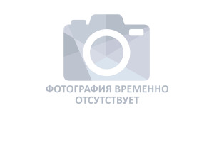 Шляхова Ксения Владимировна Шляхова Ксения Владимировна